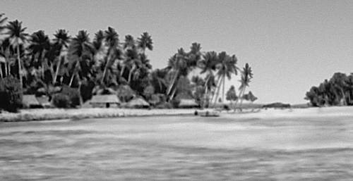 Атолл Маракеи в группе островов Гилберта. Деревня с плантациями кокосовых пальм